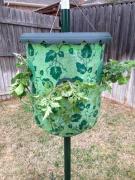 509_2989048782240_895620015_n